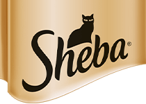 Sheba