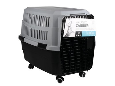إكسسوارات كلاب M-PETS