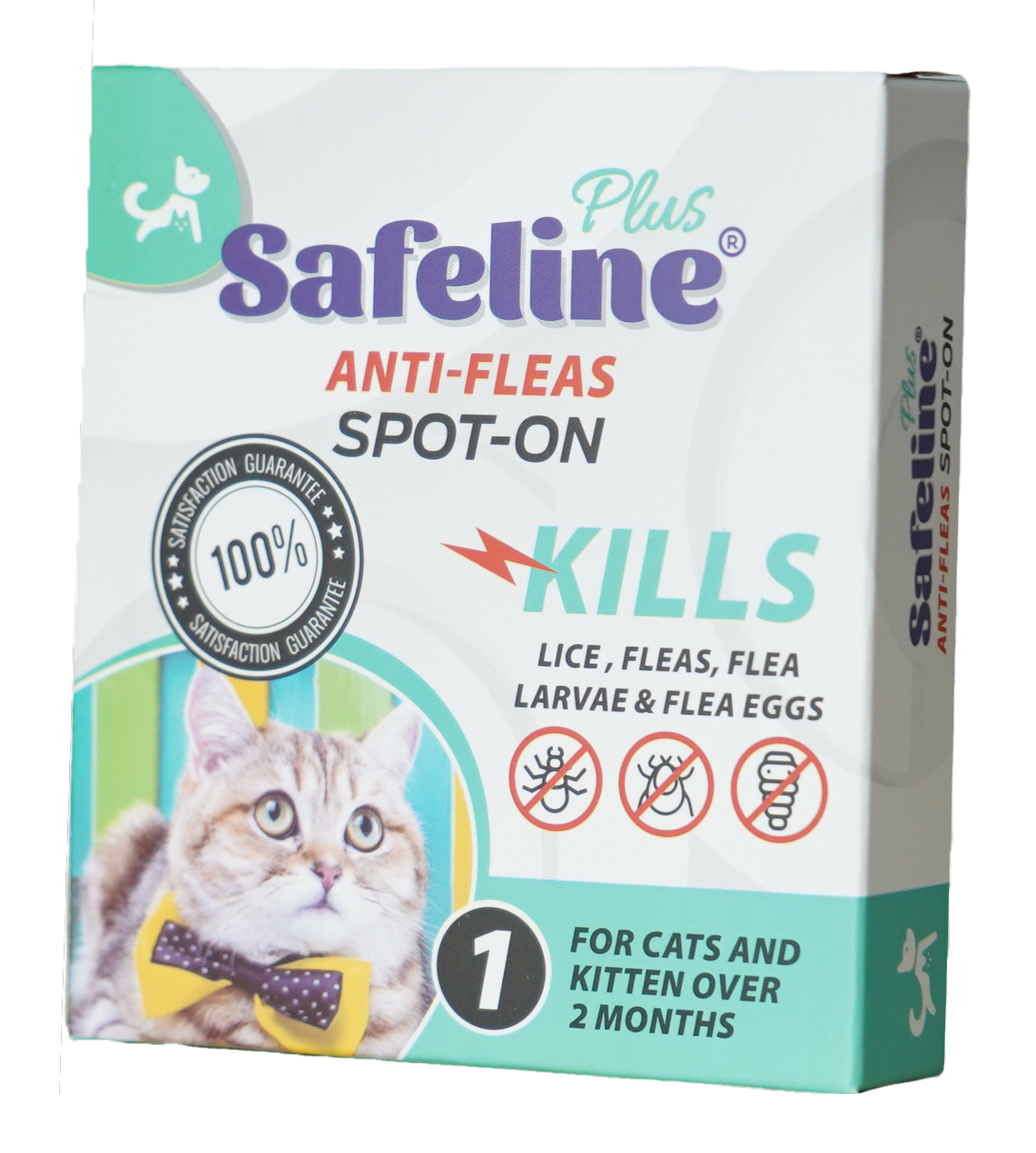 Health Care قطط Elite Pets Care