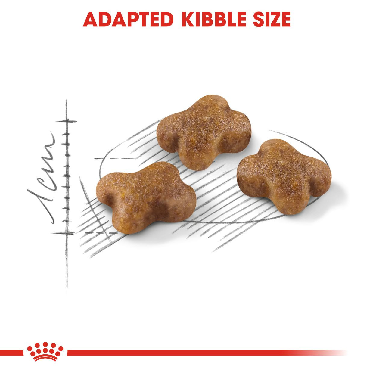 Royal Canin Kitten 2 kg
