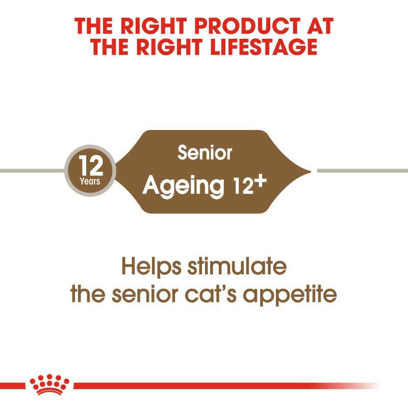 رويال كانين ايدجنج +12 2 كجم
