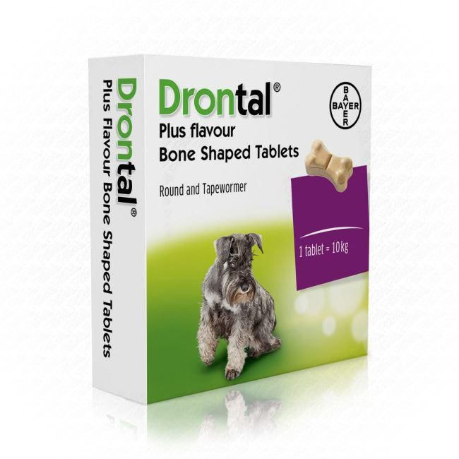 Drontal canine 2024